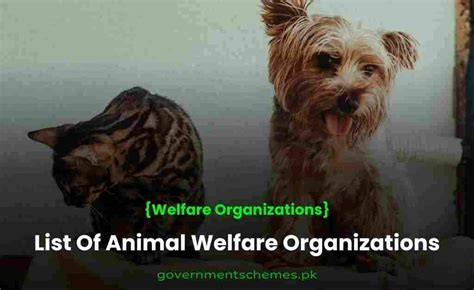 List of animal welfare organizations .